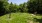 a playground with a bench and trees